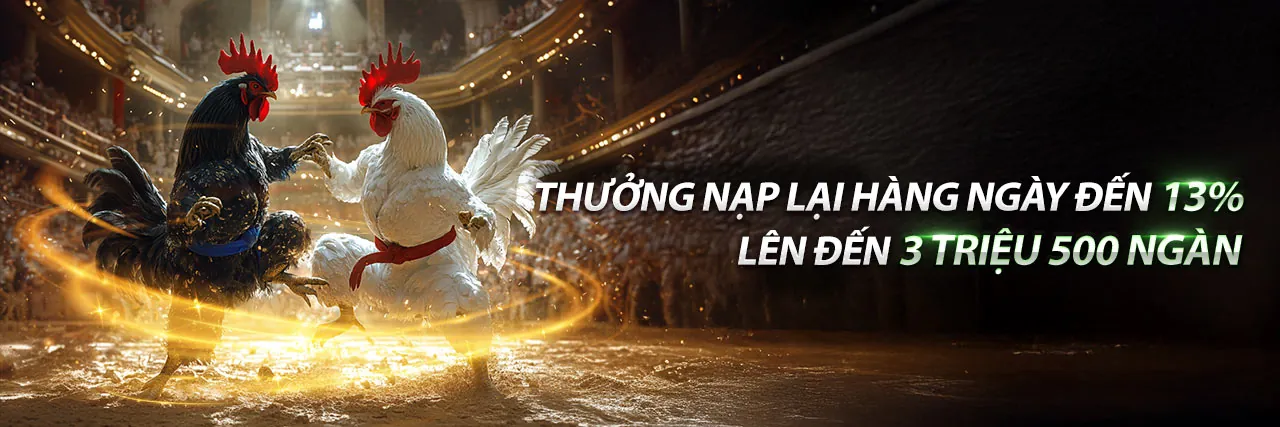 Điều Khoản Dịch Vụ 9bet Chính Thức 2026
